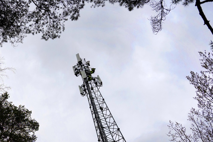 En radiomast i en skog. 