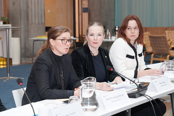 Närbild på statssekreterarna Karin Svanborg-Sjövall, Diana Janse och Sara Modig under mötet. Karin Svanborg-Sjövall talar.