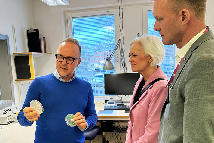 Tre personer i ett laboratorium. En person visar upp petrifat.