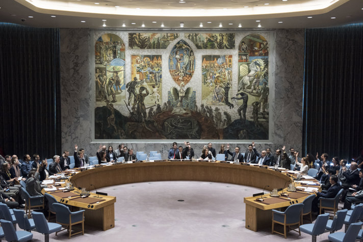 Säkerhetsrådet antar resolution om landminor.