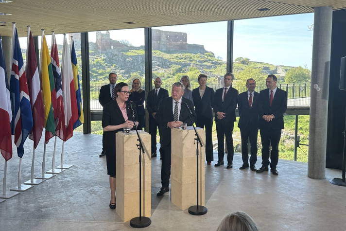 Utrikesminister Maria Malmer Stenergard talar på avstånd vid podiet.