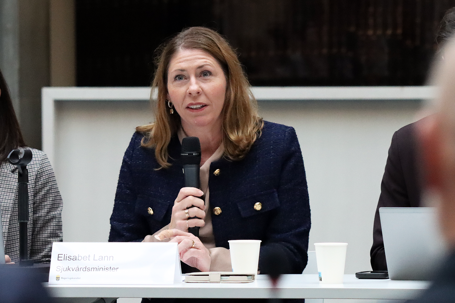 Sjukvårdsminister Elisabet Lann talar i en mikrofon.