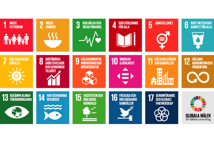 Karta med illustrationerna för alla sjutton globala mål för hållbar utveckling. 