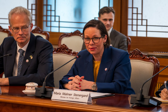 Utrikesminister Maria Malmer Stenergard talar sittandes vid bord.