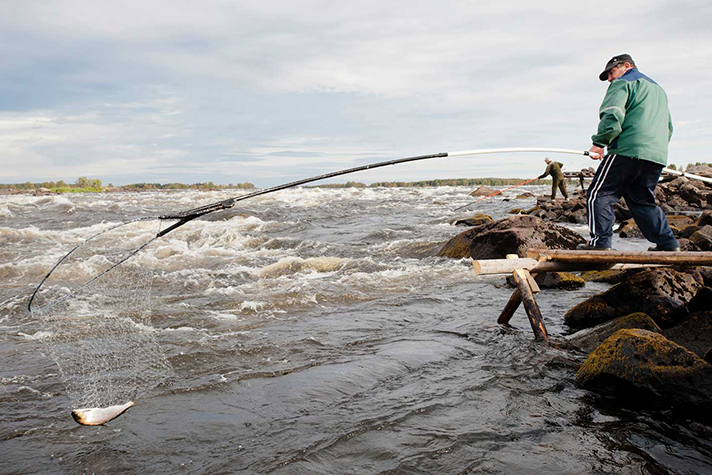 Fiskare som står vid en fors
