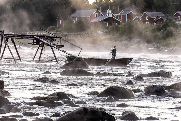 Håvare i en fors i Tornedalen