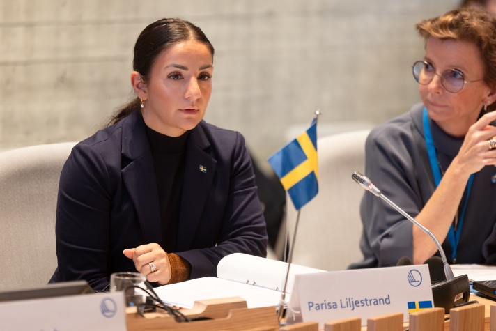 Bild på kulturminister Parisa Liljestrand. 