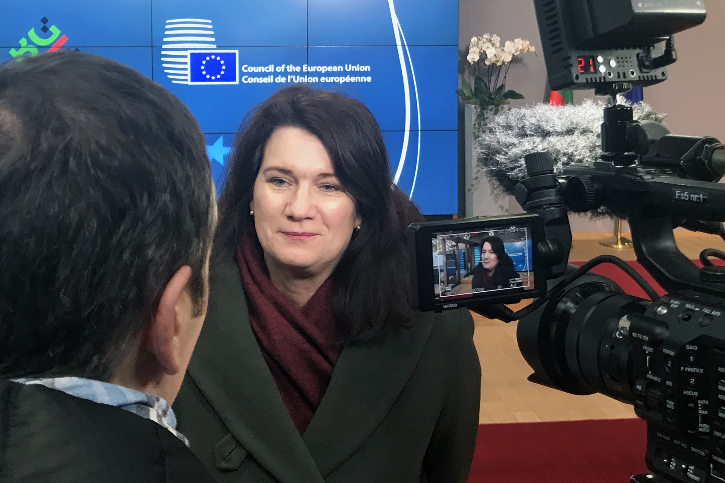 Ann Linde pratar med SVT:s reporter Ann Linde pratar med SVT:s reporter