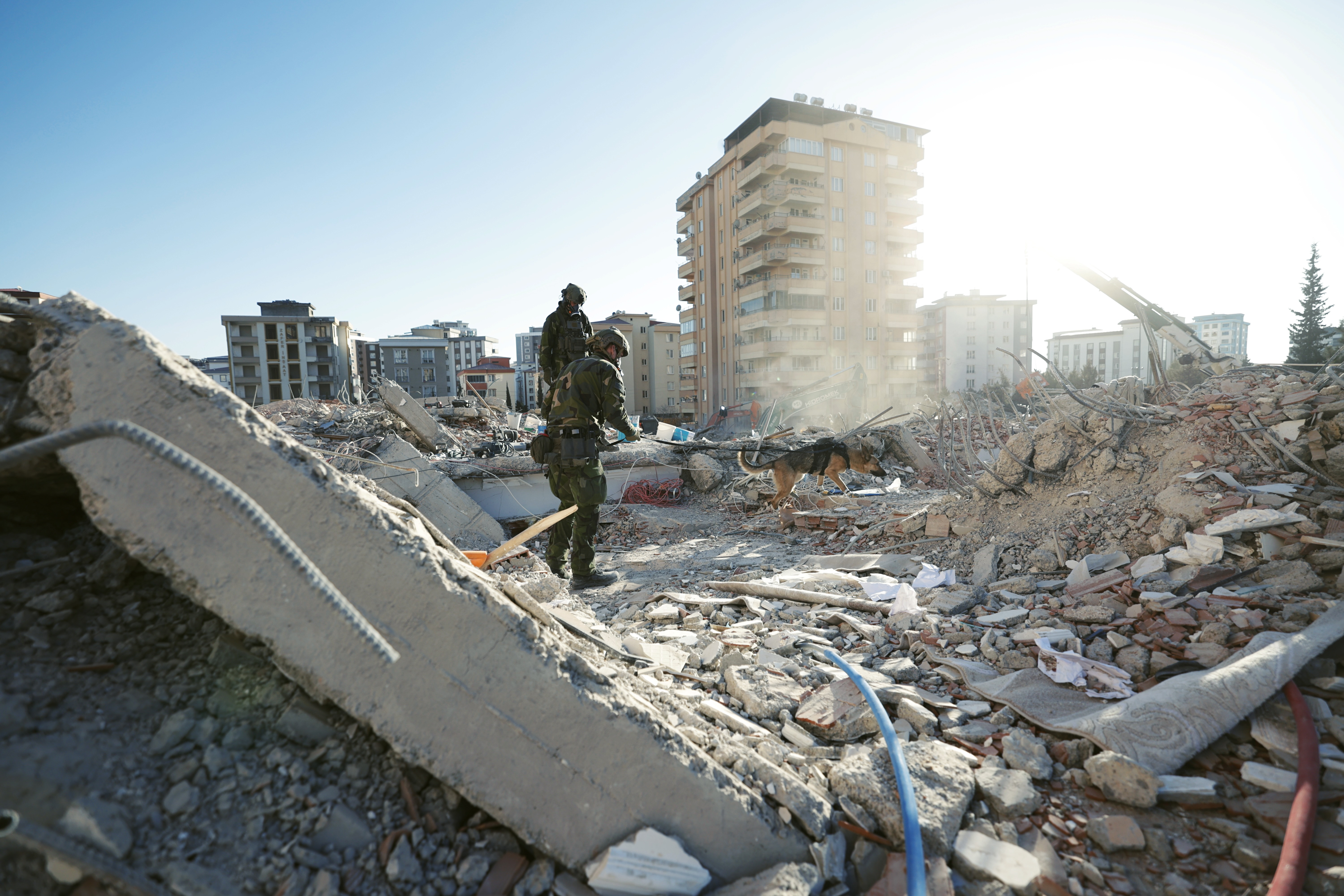 Två kamouflageklädda personer och en sökhund i rasmassorna.