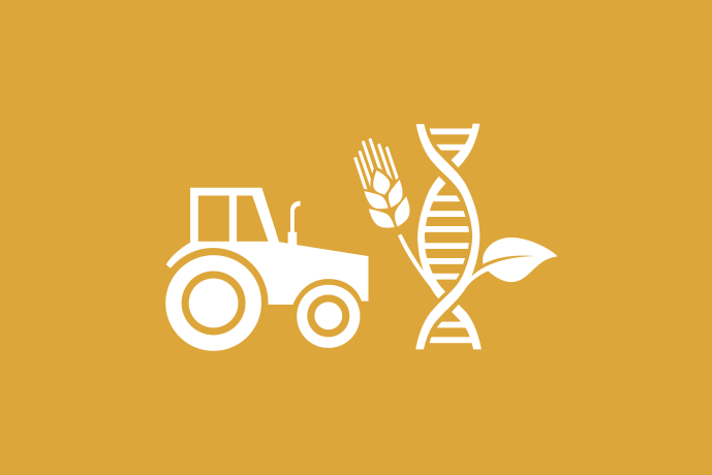 Senapsgul bakgrund vita illustrationer, en traktor bredvid en DNA-sträng som det sitter ett löv och ett spannmålsax på.