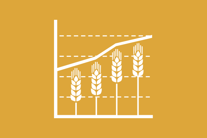 Senapsgul bakgrund vita illustrationer, fyra olika stora spannmålsax bredvid varandra i ett diagram med en uppåtgående graf.