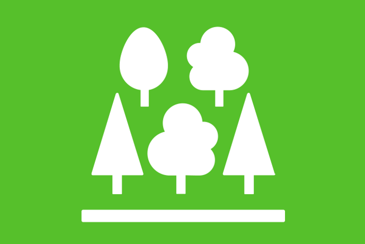 Limegrön bakgrund vita illustrationer, fem träd.
