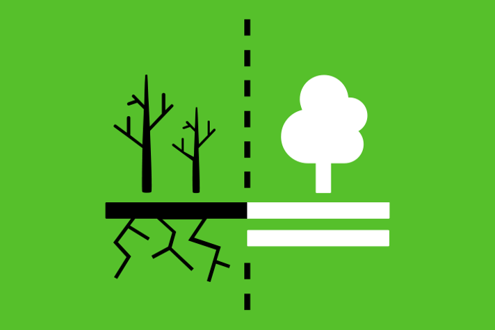 Limegrön bakgrund vita och svarta illustrationer, till vänster två svarta döda träd med döda rötter. Till höger ett vitt levande träd. I mitten en svart streckad skiljelinje.