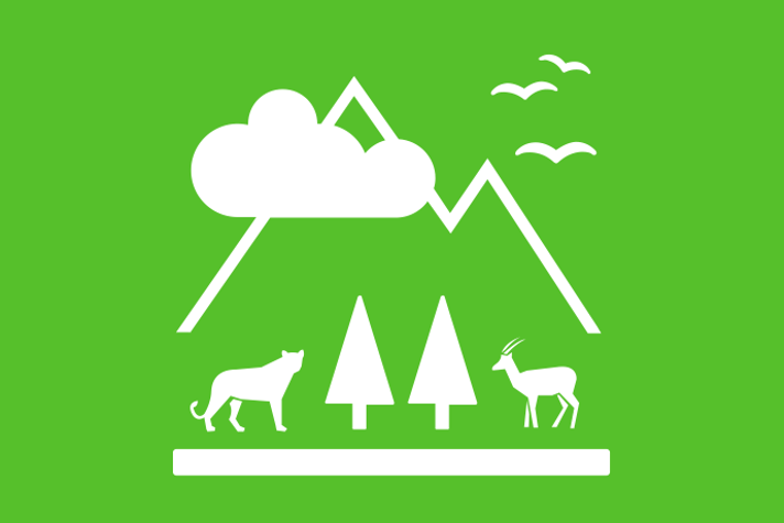 Limegrön bakgrund vita illustrationer, två bergstoppar samt tre flygande fåglar i höjd med ett moln. Nedanför bergstopparna ett kattliknande rovdjur, två träd och ett rådjur.