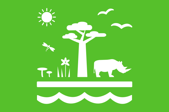 Limegrön bakgrund vita illustrationer, solen skiner på och två fåglar flyger ovanför ett baobabliknande träd. Bredvid trädet finns en noshörning, en trollslända samt några växter. Framför trädet en vattenyta.