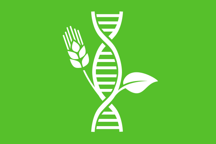 Limegrön bakgrund vita illustrationer, ur en DNA-spiral växer ett blad och ett spannmålsax.