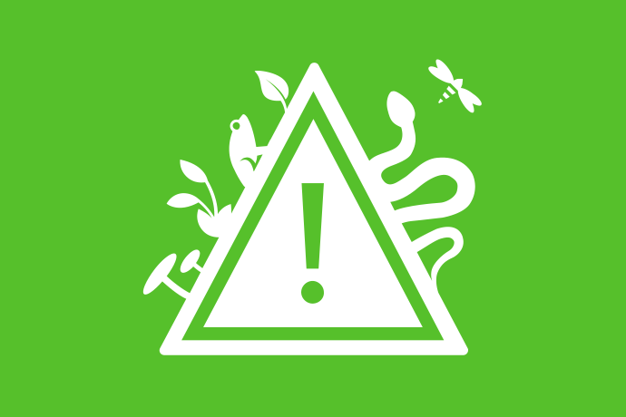 Limegrön bakgrund vita illustrationer, i mitten en varningstriangel med ett utropstecken i mitten. I bakgrunden en trollslända, en groda, en orm och några växter.