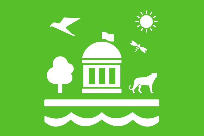 Limegrön bakgrund vita illustrationer, solen skiner på en byggnad för folkvalda. I luften flyger en fågel och en trollslända. Bredvid byggnaden växer ett träd och står ett stort kattdjur. Framför byggnaden en vattenyta.