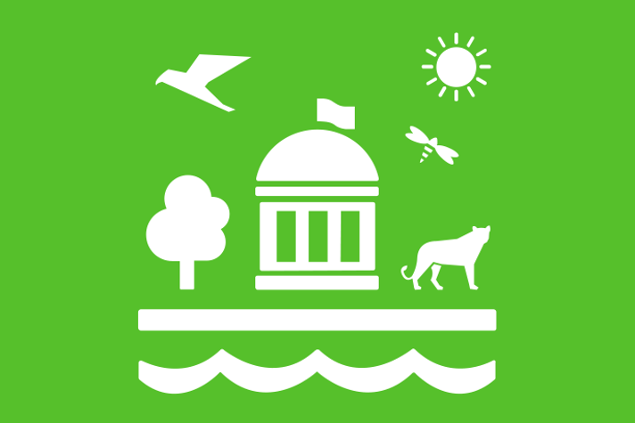 Limegrön bakgrund vita illustrationer, solen skiner på en byggnad för folkvalda. I luften flyger en fågel och en trollslända. Bredvid byggnaden växer ett träd och står ett stort kattdjur. Framför byggnaden en vattenyta.