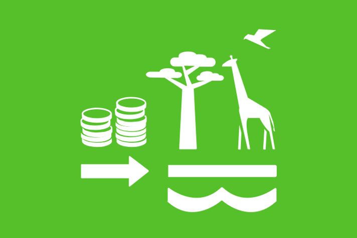 Limegrön bakgrund vita illustrationer, två staplar mynt med en pil som pekar på ett baobabliknande träd, en vattenyta, en giraff och en flygande fågel.