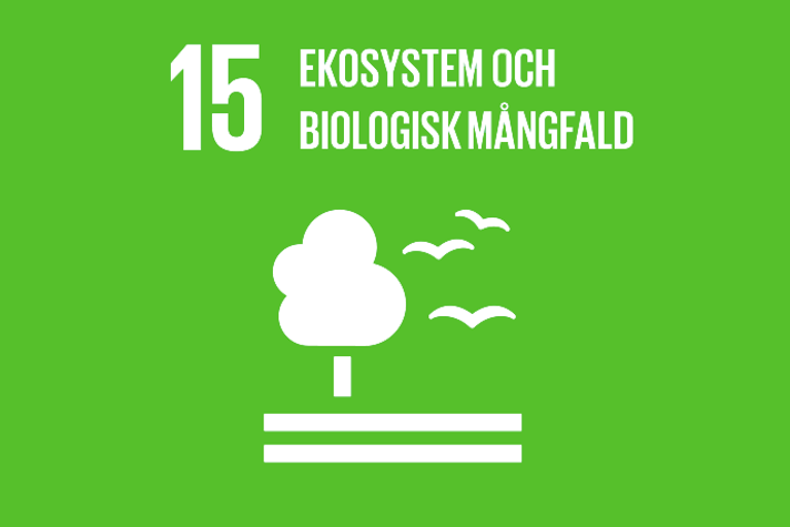 Limegrön bakgrund vit text, ett träd som står på marken och tre flygande fåglar.