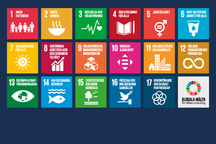 Regeringens arbete med Agenda 2030 för hållbar utveckling