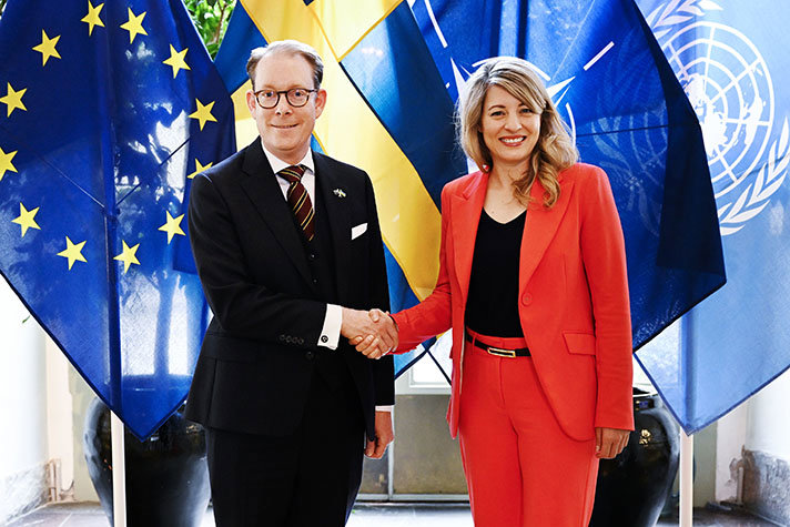 Billström och Joly skakar hand framför flaggor