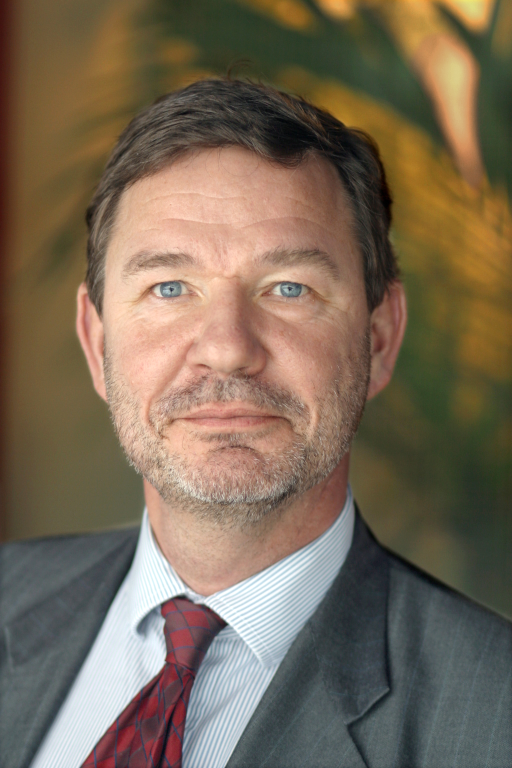 Ambassadör Krister Bringéus Ambassadör Krister Bringéus